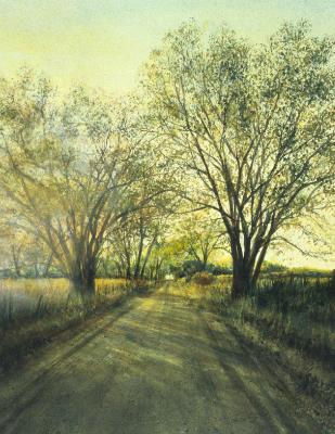 Kansas Morning